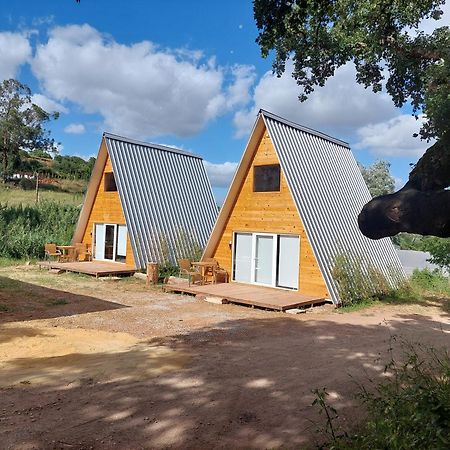 Falcoaria Setubal Exterior photo