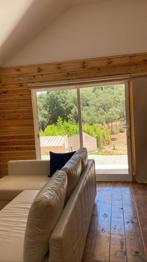 Falcoaria Setubal Exterior photo