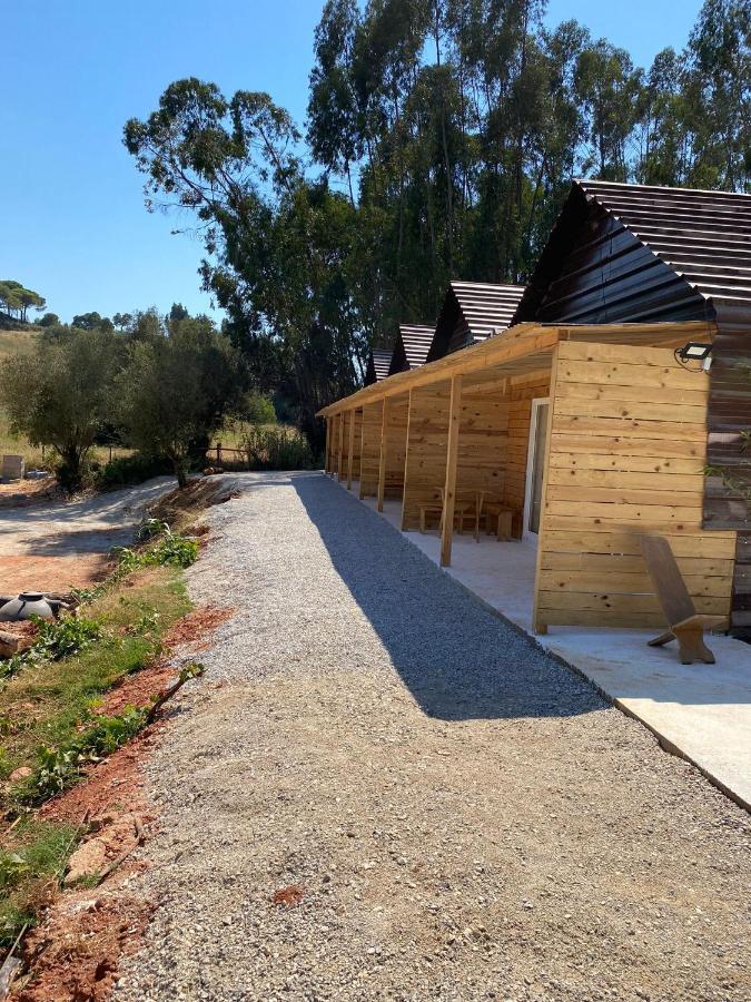 Falcoaria Setubal Exterior photo
