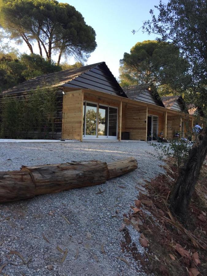 Falcoaria Setubal Exterior photo