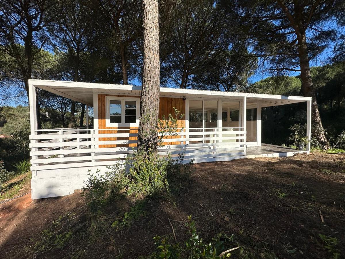Falcoaria Setubal Exterior photo