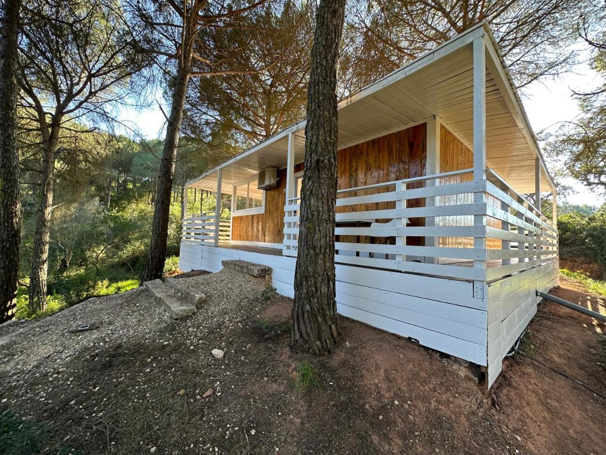 Falcoaria Setubal Exterior photo