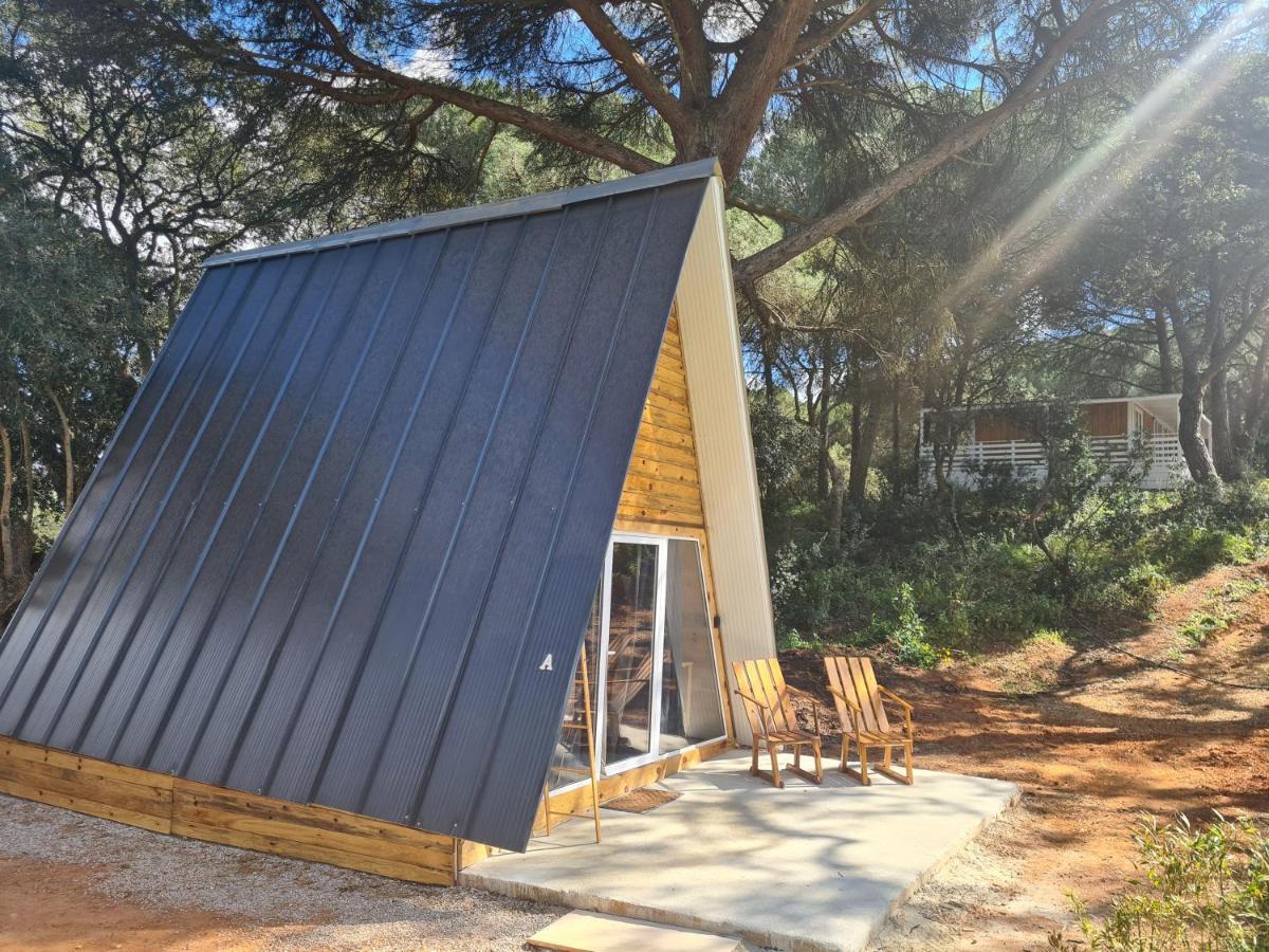 Falcoaria Setubal Exterior photo