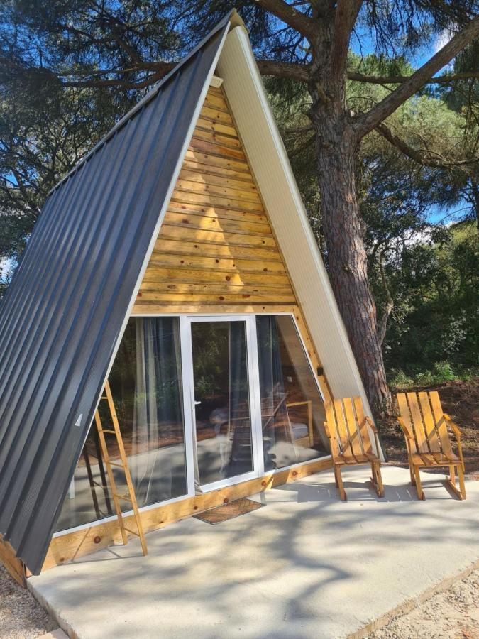 Falcoaria Setubal Exterior photo