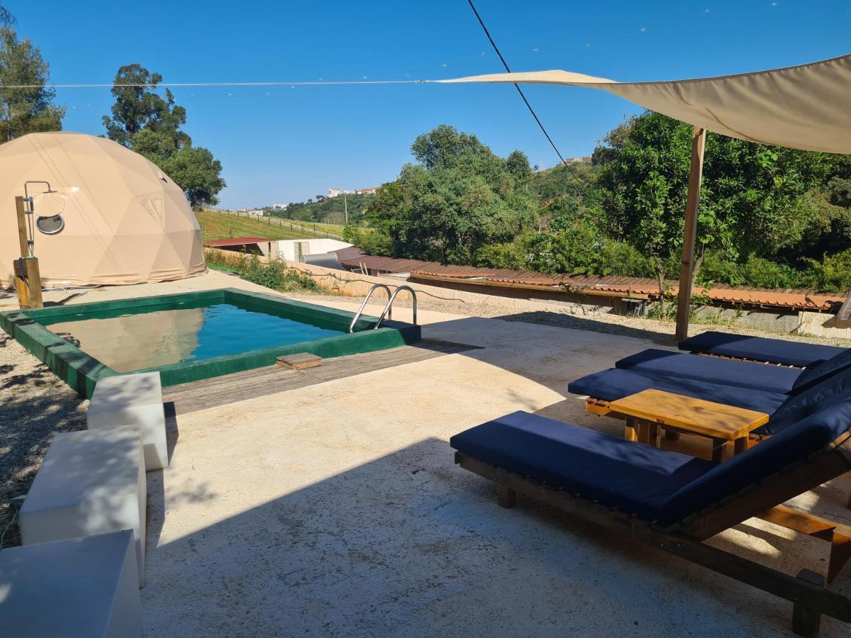 Falcoaria Setubal Exterior photo