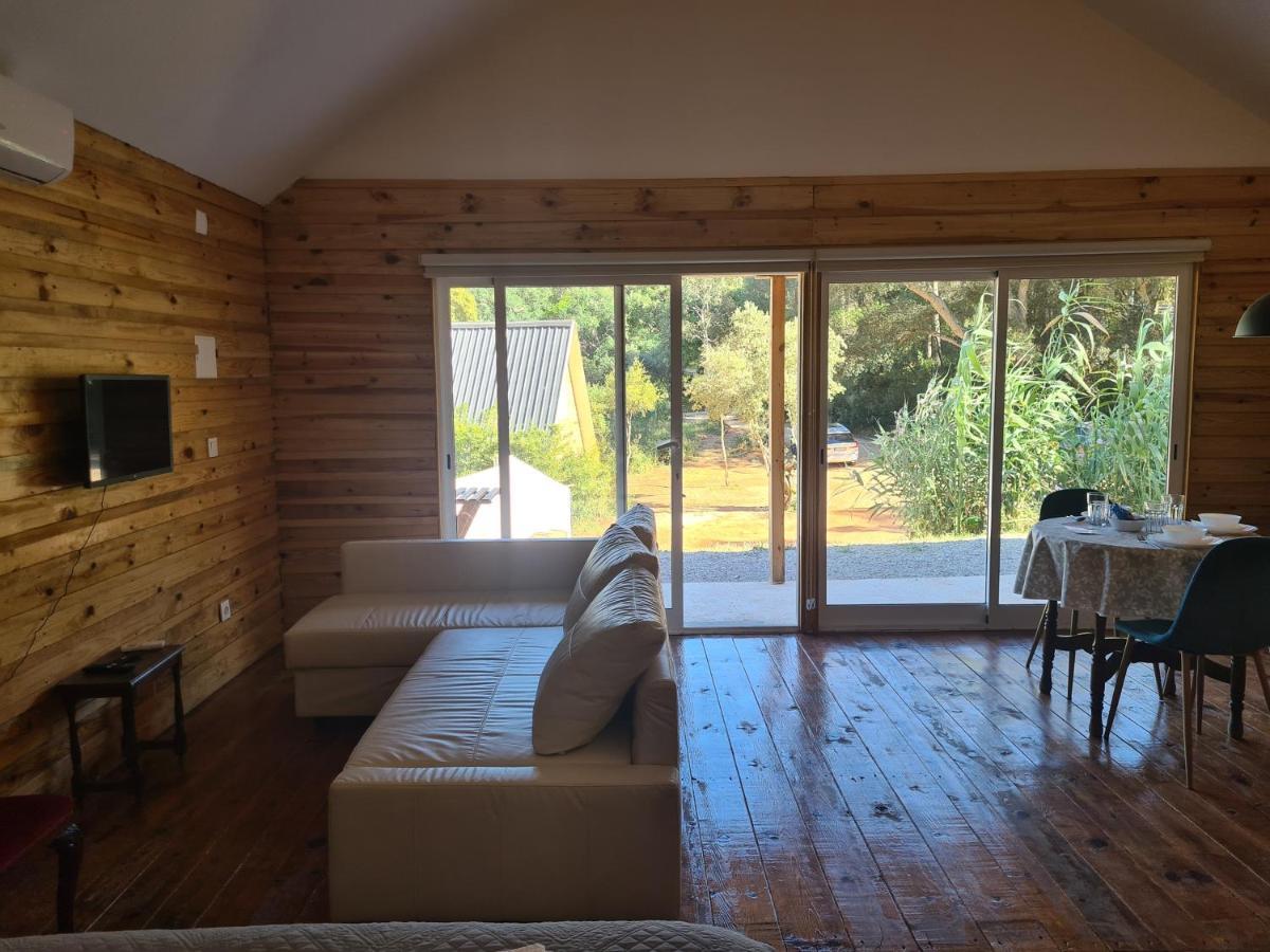Falcoaria Setubal Exterior photo