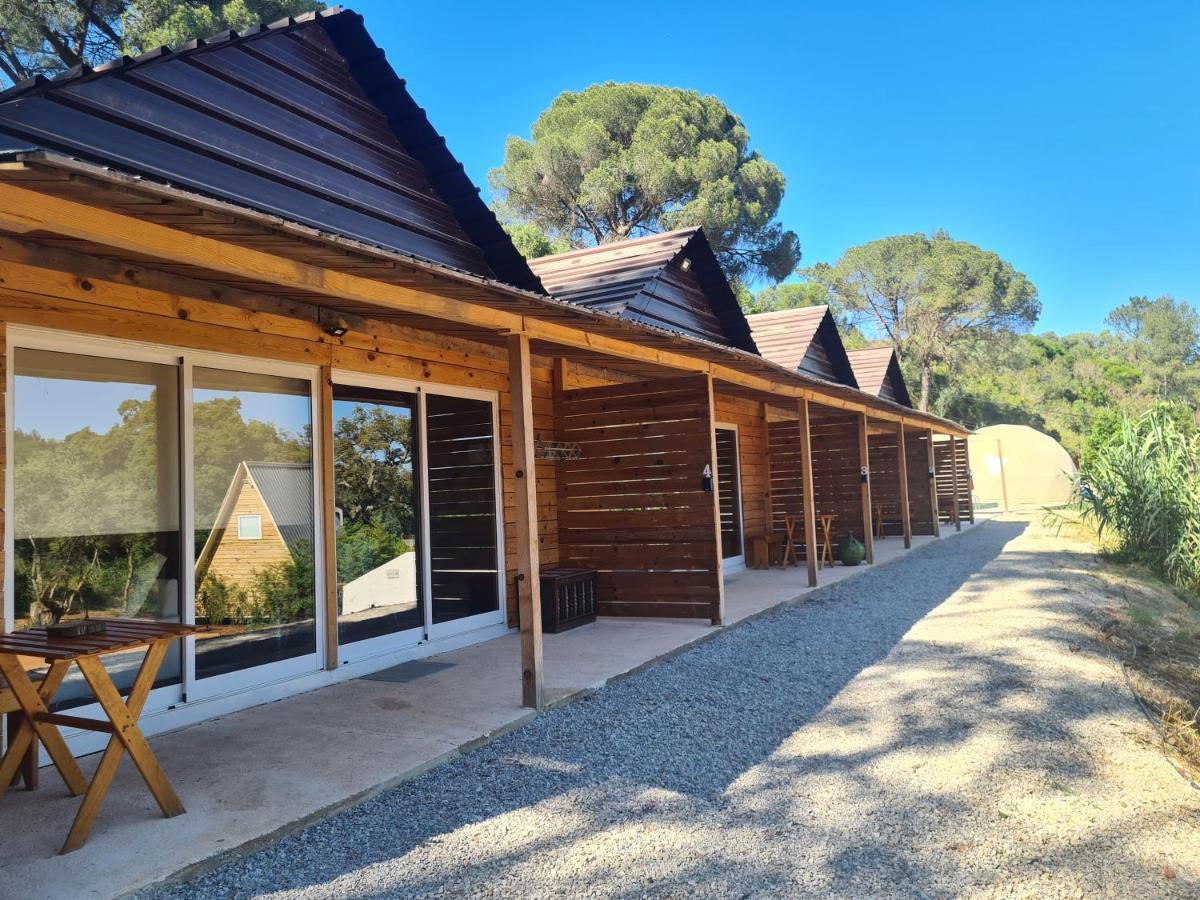 Falcoaria Setubal Exterior photo