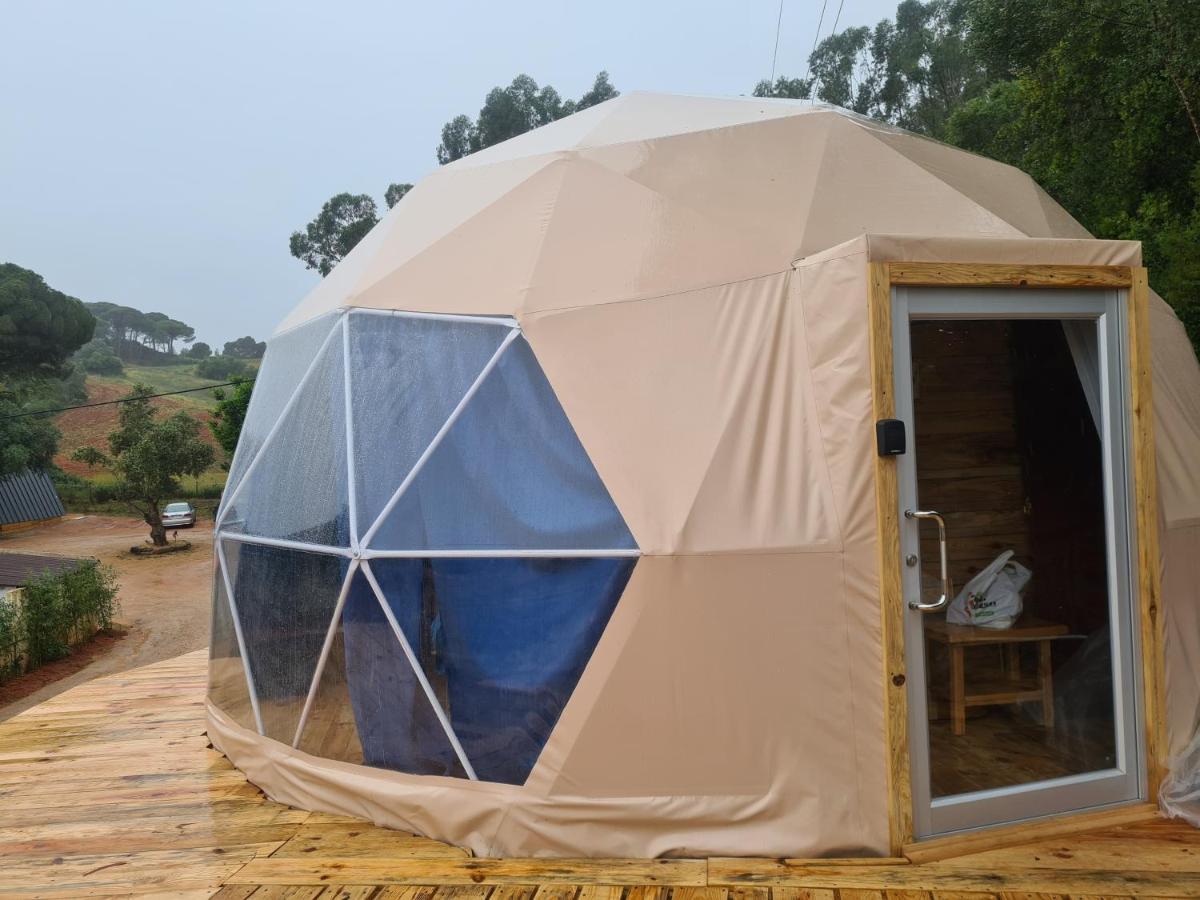 Falcoaria Setubal Exterior photo