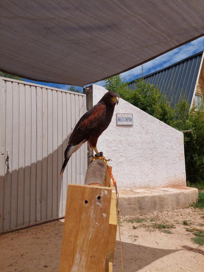 Falcoaria Setubal Exterior photo