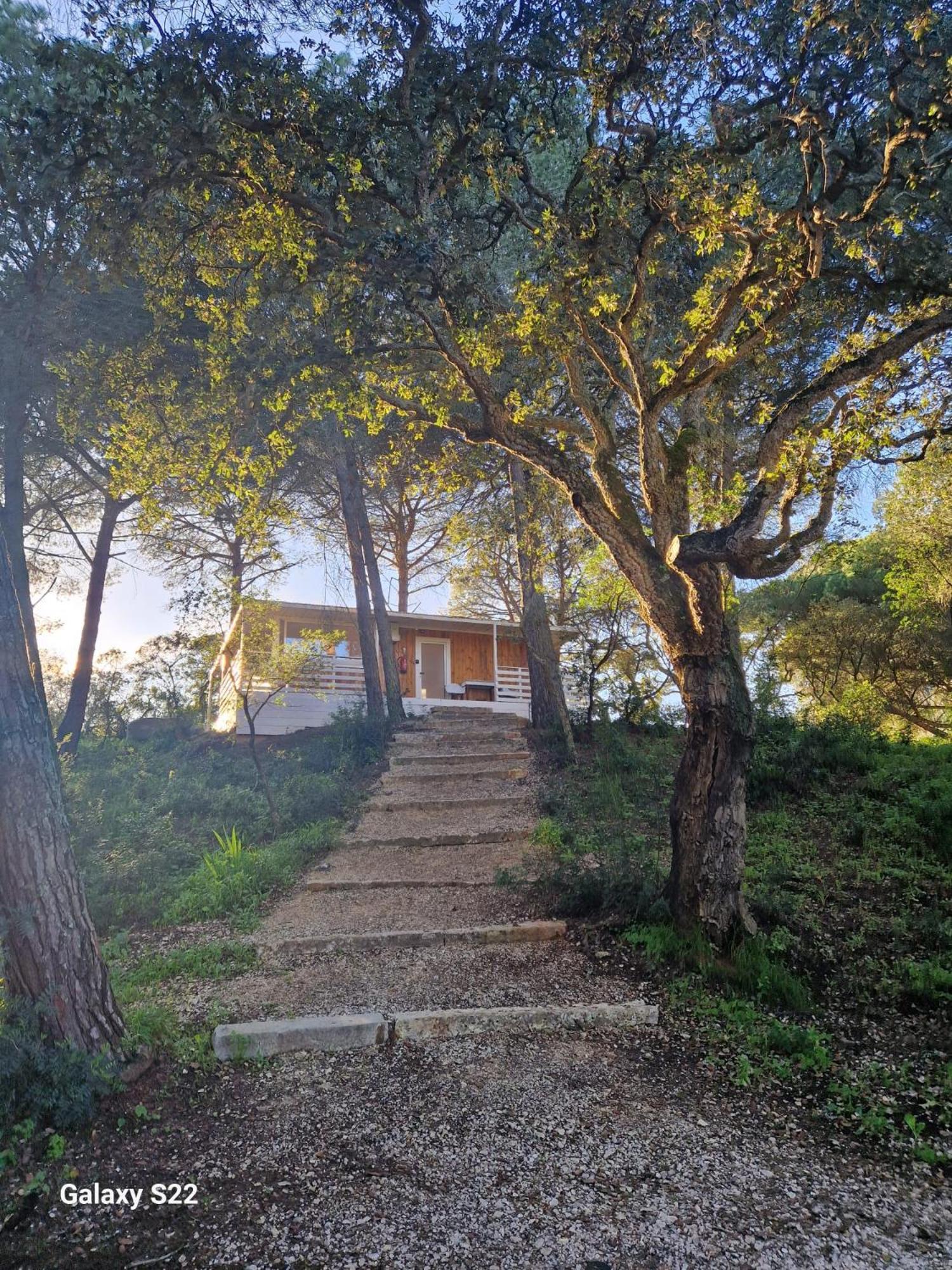 Falcoaria Setubal Exterior photo